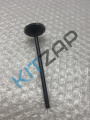 ������ ��������